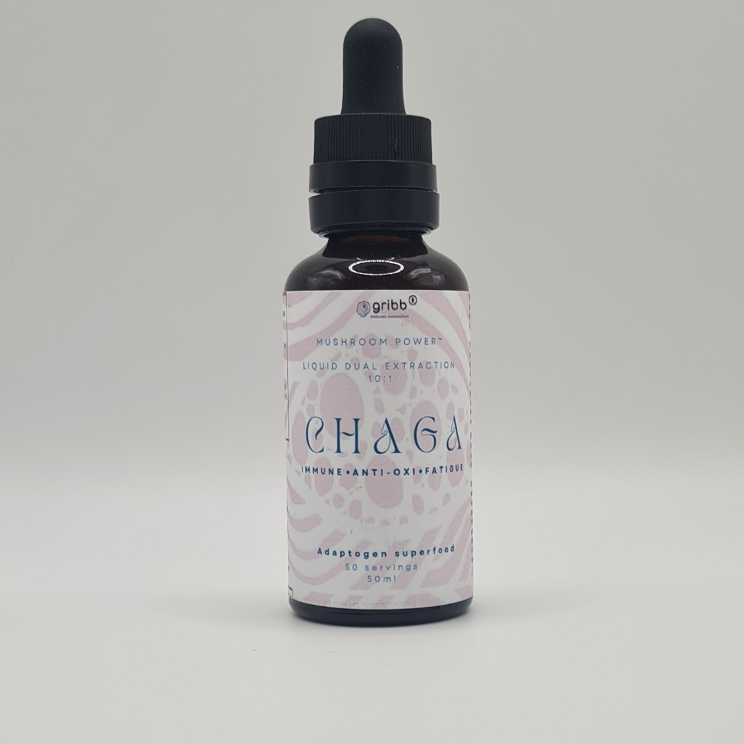 CHAGA Tincture Extract