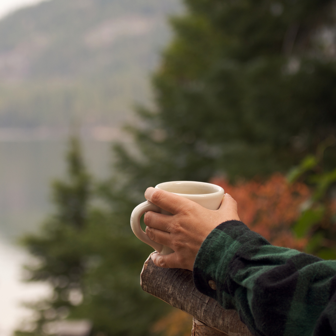 How to Build a Morning Ritual with Mushrooms