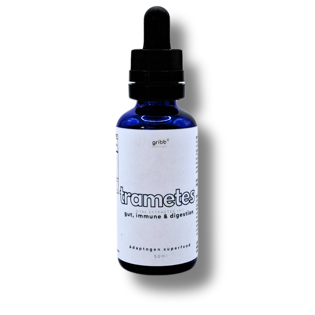 TRAMETES TINCTURE